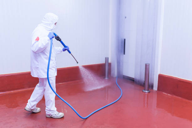 Reliable Ramsey, NJ Pressure Washing Services Solutions